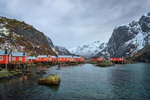 nusfjord visvangst dorp in Noorwegen foto