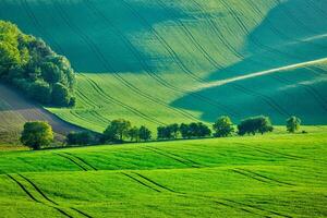 glooiend zomerlandschap van Moravië foto