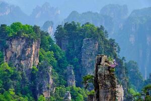 zhangjiajie bergen, China foto