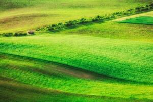 rollend landschap van zuiden Moravië foto