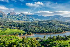 thee plantages en rivier- in heuvels. Kerala, Indië foto