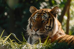 ai gegenereerd wereld dier dag, wereld dieren in het wild dag foto