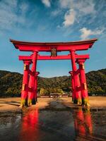 torii poorten in de buurt de water in Japan foto