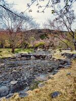 water vloeiende naar beneden een berg in Japan foto