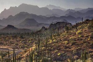 baja Californië bergen foto