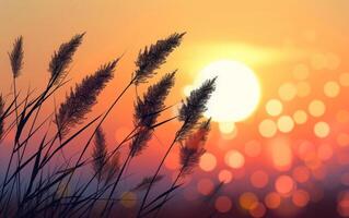 ai gegenereerd zonsondergang gloed door fluisteren tarwe foto