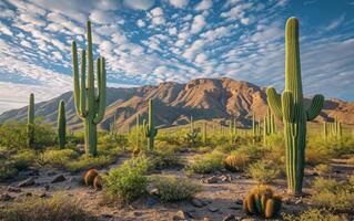 ai gegenereerd woestijn met cactus foto