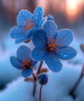 ai gegenereerd drie blauw bloemen in de sneeuw foto