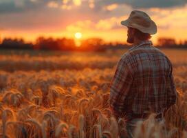 ai gegenereerd boer staand in tarwe veld- op zoek Bij de zonsondergang foto