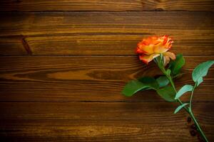 een rood mooi bloeiend roos Aan een houten tafel foto