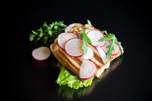 heet belegd broodje van gebakken geroosterd brood gevuld met kaas, kruiden en radijs foto