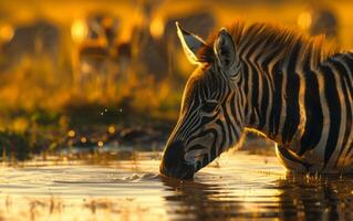 ai gegenereerd dichtbij omhoog van een jong zebra blussen haar dorst in een rustig vijver foto