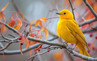 ai gegenereerd goud gevederde vogel Aan een herfst- ledemaat foto