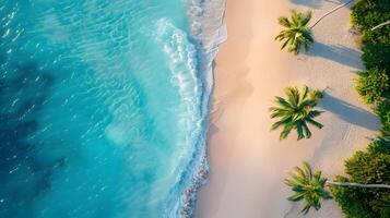 azuur kust van de oceaan met palm bomen, zand, surfen en schelpen. ai gegenereerd foto