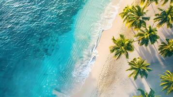 ai gegenereerd azuur kust van de oceaan met palm bomen, zand, surfen en schelpen. ai gegenereerd foto