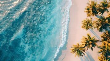 ai gegenereerd azuur kust van de oceaan met palm bomen, zand, surfen en schelpen. ai gegenereerd foto