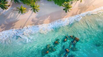 azuur kust van de oceaan met palm bomen, zand, surfen en schelpen. ai gegenereerd foto