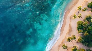 azuur kust van de oceaan met palm bomen, zand, surfen en schelpen. ai gegenereerd foto