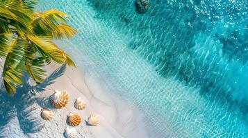 azuur kust van de oceaan met palm bomen, zand, surfen en schelpen. ai gegenereerd foto