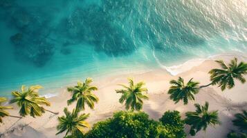 azuur kust van de oceaan met palm bomen, zand, surfen en schelpen. ai gegenereerd foto