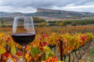 ai gegenereerd voortreffelijk glas van Rioja rood wijn met uitzicht de levendig wijngaarden van la Rioja - essence van Spaans elegantie foto