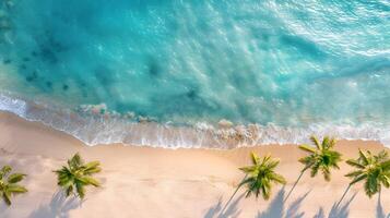 azuur kust van de oceaan met palm bomen, zand, surfen en schelpen. ai gegenereerd foto