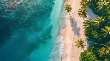 azuur kust van de oceaan met palm bomen, zand, surfen en schelpen. ai gegenereerd foto