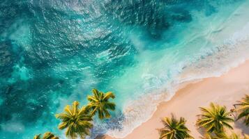 azuur kust van de oceaan met palm bomen, zand, surfen en schelpen. ai gegenereerd foto