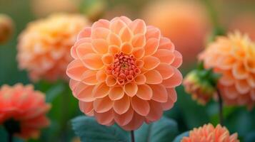 ai gegenereerd detailopname van roze dahlia bloem foto