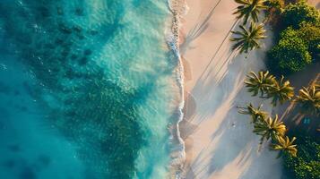 ai gegenereerd azuur kust van de oceaan met palm bomen, zand, surfen en schelpen. ai gegenereerd foto