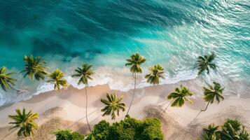 azuur kust van de oceaan met palm bomen, zand, surfen en schelpen. ai gegenereerd foto