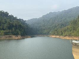 rustig reservoir temidden van weelderig groen Woud foto