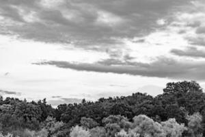 mooi horizon landschap in dorp weide Aan kleur natuurlijk achtergrond foto