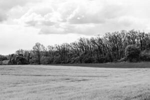 mooi horizon landschap in dorp weide Aan kleur natuurlijk achtergrond foto