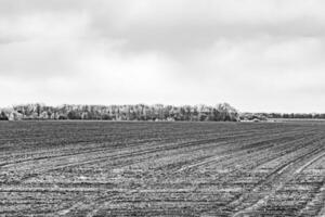 fotografie Aan thema groot leeg boerderij veld- voor biologisch oogst foto