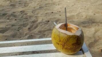een kokosnoten in de buurt de strand foto