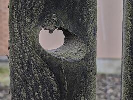 structuur van oud houten hek met gat, achtergrond, grunge foto