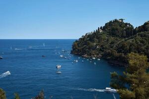 top visie van portofino kust met veel van zeilen boten foto