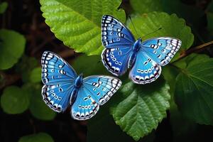ai gegenereerd twee mooi gestileerde oostelijk staart blauw vlinders Aan natuurlijk bladeren omgeving, ai gegenereerd foto