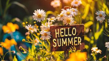 ai gegenereerd Hallo zomer tekst Aan houten teken in bloem tuin met madeliefjes foto
