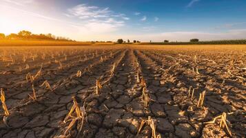 ai gegenereerd droog bodem in de veld- Bij zonsondergang tijd, globaal opwarming concept foto