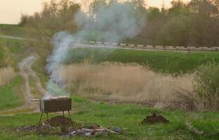 shish kebab van kip Vleugels zijn gebakken in de veld. een klassiek barbecue in de Open lucht. de werkwijze van frituren vlees Aan houtskool foto