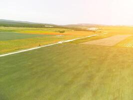 antenne visie Aan groen tarwe veld- in platteland. veld- van tarwe blazen in de wind Leuk vinden groen zee. jong en groen aartjes. oren van gerst Bijsnijden in natuur. agronomie, industrie en voedsel productie. foto