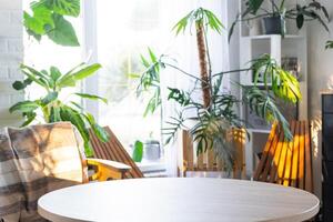 leeg ronde tafel voor installatie en demonstratie van Product in interieur met tropisch binnen- planten in land groen huis . kamerplant groeit en zorgzaam voor ingemaakt plant, broeikas in huisje foto