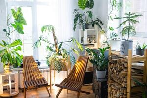 tropisch binnen- planten in de interieur kamer wit zolder in land huis, houten meubilair, brandhout voor haard in zonlicht. kamerplant groeit en zorgzaam voor ingemaakt plant, groen huis in huisje foto