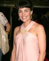 sherilyn Fenn vrienden van el Faro voordeel Henry fonda theater Hollywood, Californië mei 13, 2005 2005 foto