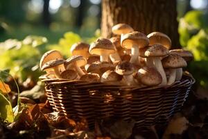 ai gegenereerd bundel van eetbaar champignons in een rieten mand in Woud buitenshuis Aan een zonnig dag foto