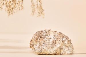 een beige backdrop met een natuurlijk steen podium en een droog fabriek Afdeling biedt een minimaal kopiëren ruimte backdrop voor een kunstmatig Product presentatie. foto