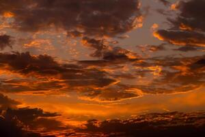prachtig zonsopkomst of zonsondergang horizon, donker voering en wolken Aan levendig oranje achtergrond foto