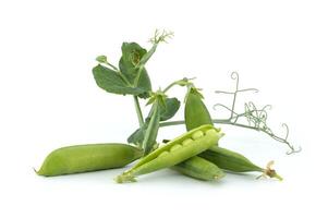 zoet erwten peulen met groen bladeren geïsoleerd Aan wit foto